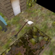 Image for article titled Untitled Goose Game As A PS1 Game Is Perfect